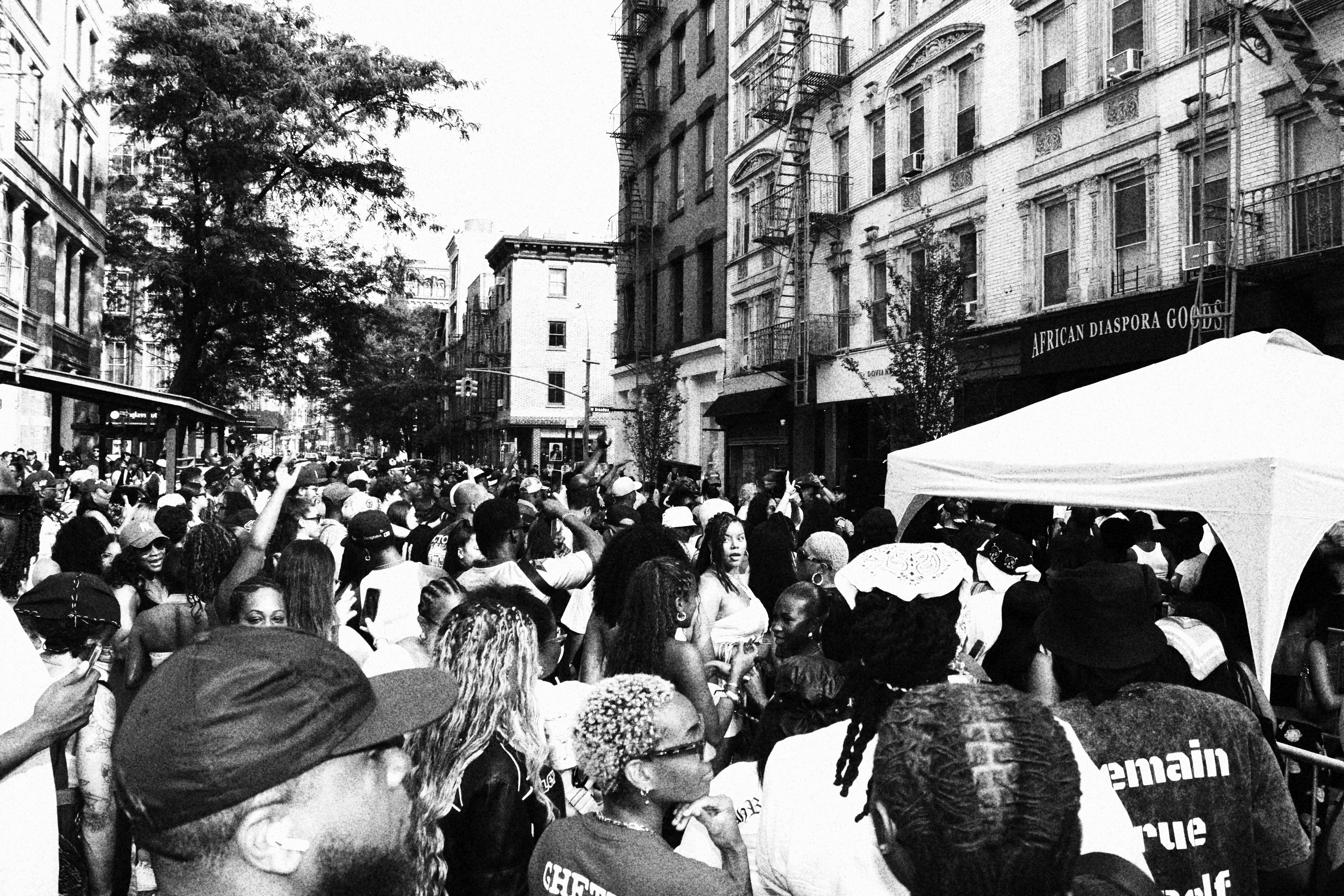 Spring St Block Party